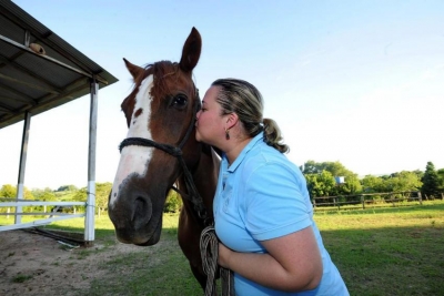 Estudo comprova que cavalos reagem a emoções humanas